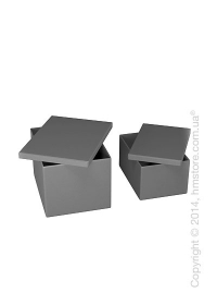 Набор ящиков Calligaris Clever, 2 предмета, PVC Grey Набор ящиков Calligaris Clever, 2 предмета, PVC Grey