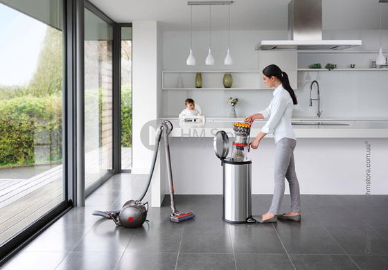 Пылесос Dyson Big Ball Allergy 2