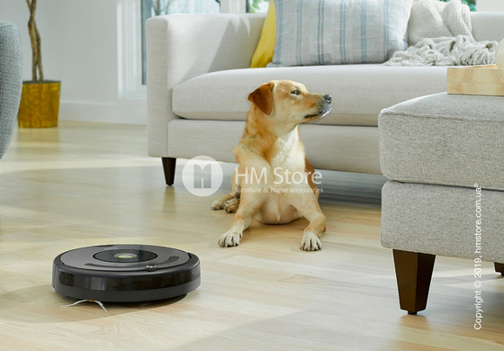 Робот-уборщик iRobot Roomba 676