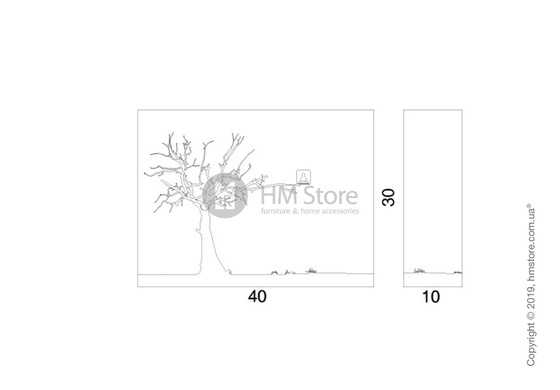 Часы настенные Progetti CùCùRùKù Wall Clock, Black Wenge, Orange Tree