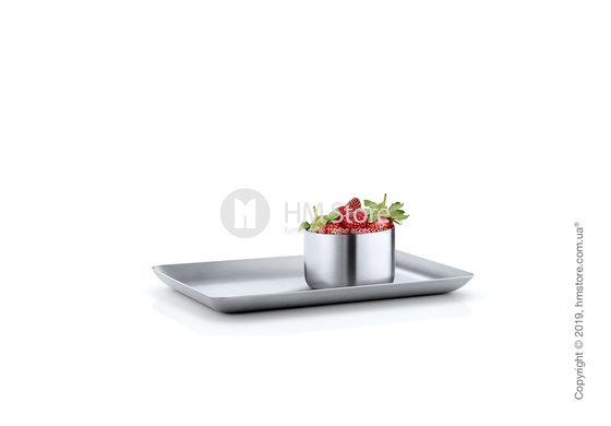 Поднос Blomus коллекция Basic 13x22 см, Matt stainless steel