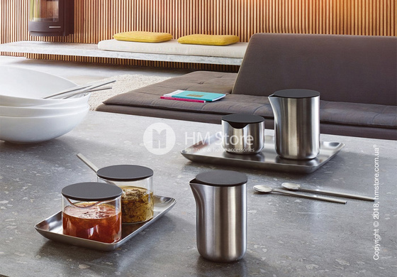 Поднос Blomus коллекция Basic 13x22 см, Matt stainless steel