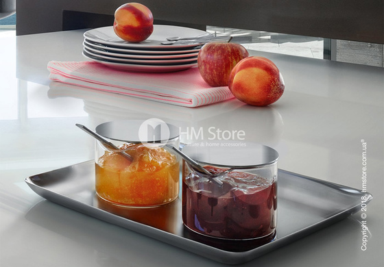 Поднос Blomus коллекция Basic 13x22 см, Matt stainless steel