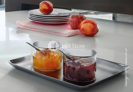 Поднос Blomus коллекция Basic 15x25 см, Matt stainless steel