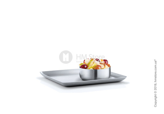 Поднос Blomus коллекция Basic 17x20 см, Matt stainless steel