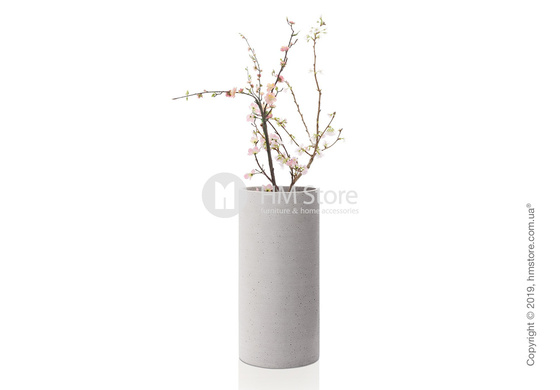 Ваза Blomus коллекция Coluna 29 см, Grey