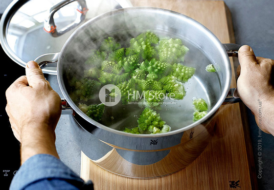 Кастрюля WMF коллекция Premium One 8,8 л, Stainless Steel