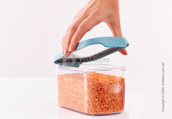 Набор контейнеров для хранения с креплением для полок Joseph Joseph 900 мл 3 шт, Light Opal