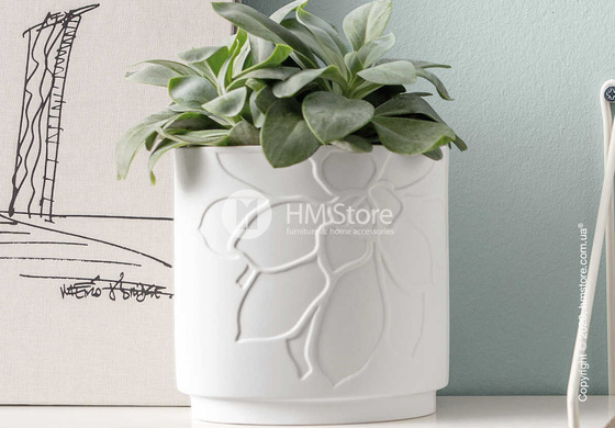 Ваза Villeroy & Boch коллекция it‘s my home 14x14 см, Green and White