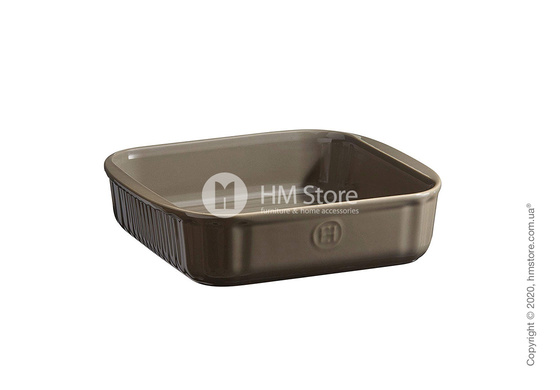 Форма для выпечки квадратная 22,5 х 21 см Emile Henry Bakeware, Silex
