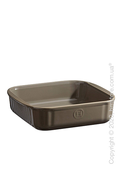 Форма для выпечки квадратная 22,5 х 21 см Emile Henry Bakeware, Silex
