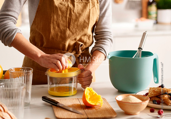 Набор емкостей для приготовления Joseph Joseph Nest, Opal