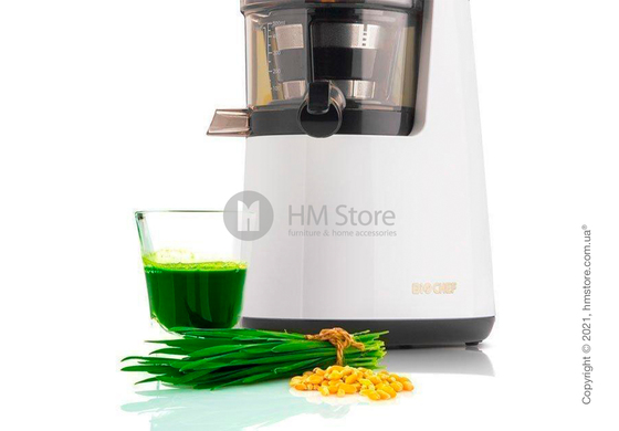 Соковыжималка BioChef Atlas Slow Juicer, Black