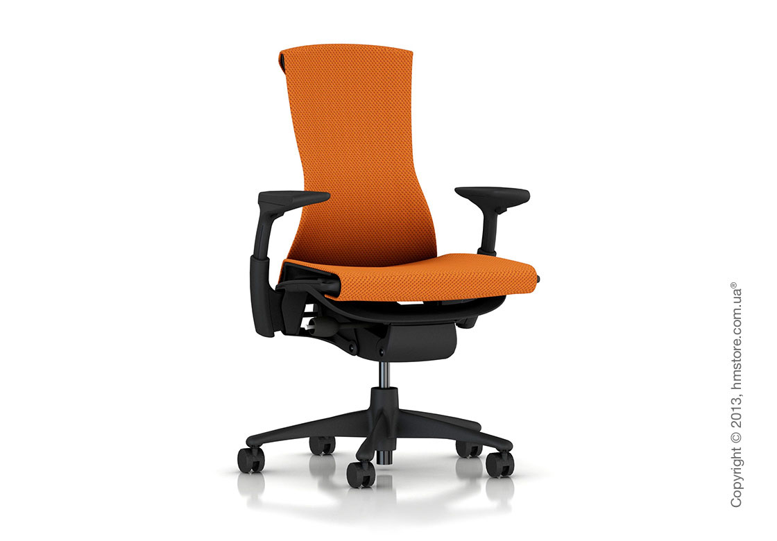 Кресло Herman Miller Embody – фото