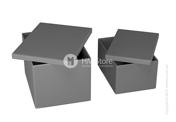 Набор ящиков Calligaris Clever, 2 предмета, PVC Grey