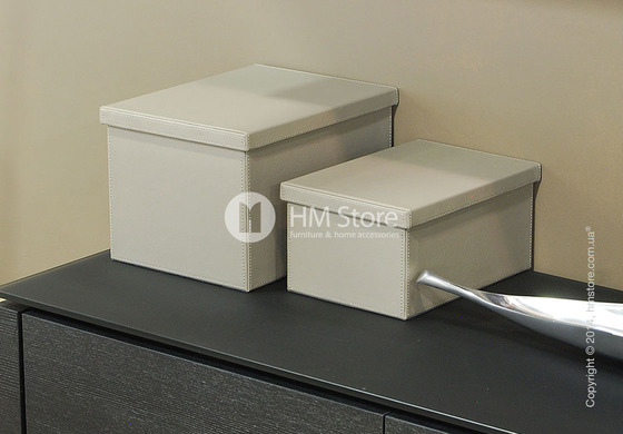 Набор ящиков Calligaris Clever, 2 предмета, PVC Grey