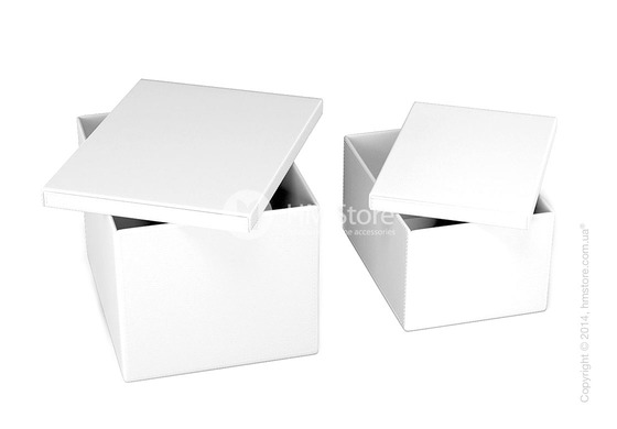 Набор ящиков Calligaris Clever, 2 предмета, PVC White