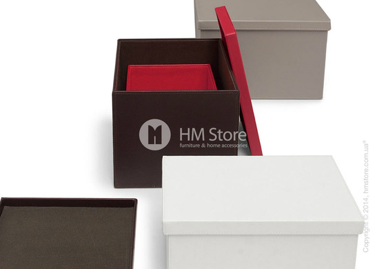 Набор ящиков Calligaris Clever, 2 предмета, PVC White