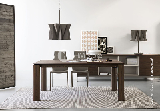 Стол Calligaris Omnia Wood, Frosted tempered glass extrawhite and Veneer wenge