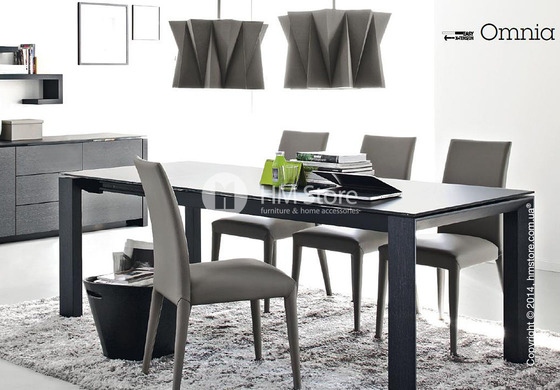 Стол Calligaris Omnia Wood, Frosted tempered glass extrawhite and Veneer wenge