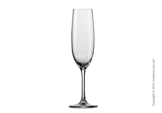 Набор бокалов для шампанского Schott Zwiesel Elegance 230 мл на 2 персоны