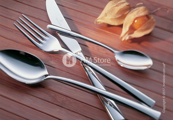 Набор столовых приборов Villeroy & Boch коллекция Piemont на 6 персон, 24 предмета