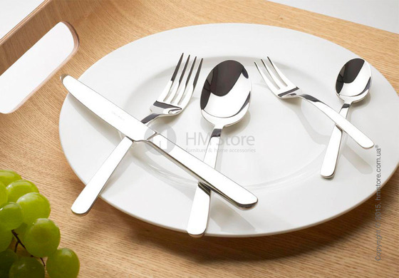 Набор столовых приборов Villeroy & Boch коллекция Louis на 6 персон, 24 предмета Набор столовых приборов Villeroy & Boch коллекция Louis на 6 персон, 24 предмета