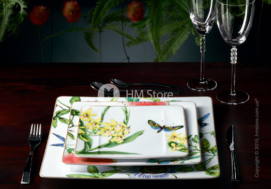 Набор фарфоровой посуды Villeroy & Boch коллекция Amazonia на 6 персон, 55 предметов
