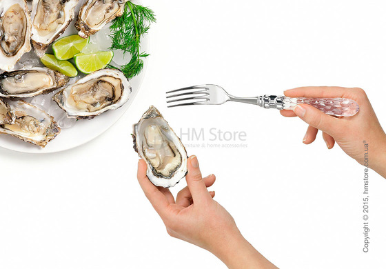 Набор столовых приборов Bugatti Cristallo коллекция Chromed Metal Ring на 12 персон, 75 предметов, Transparent