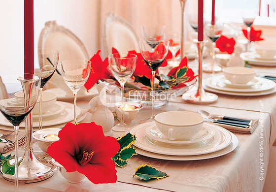 Набор фарфоровой посуды Villeroy & Boch коллекция Gray Pearl на 6 персон, 50 предметов Набор фарфоровой посуды Villeroy & Boch коллекция Gray Pearl на 6 персон, 50 предметов