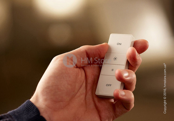 Универсальный пульт управления лампами Philips Hue