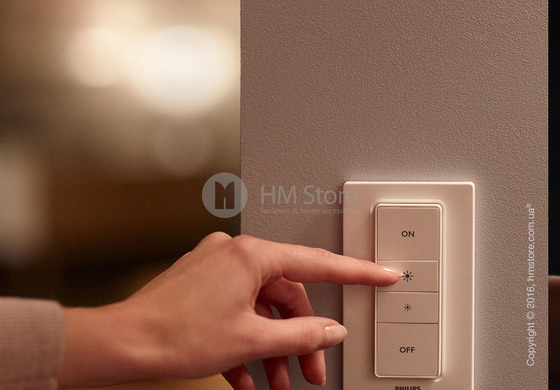 Универсальный пульт управления лампами Philips Hue