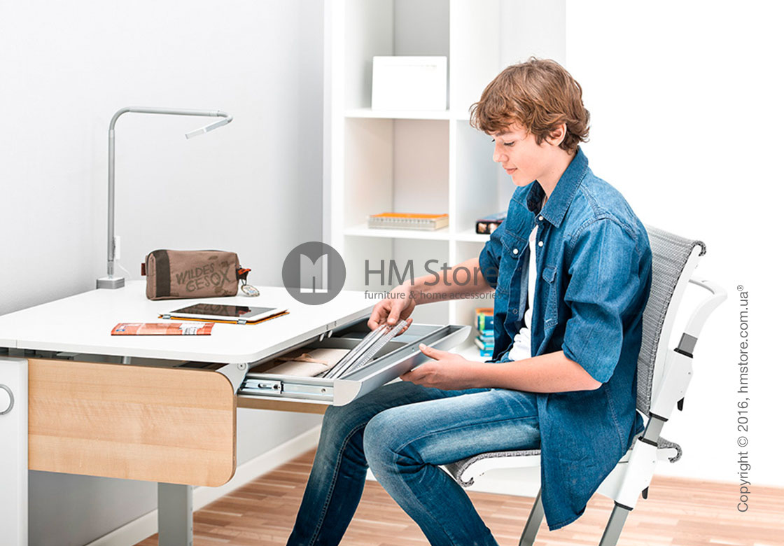Детский письменный стол moll Champion Compact