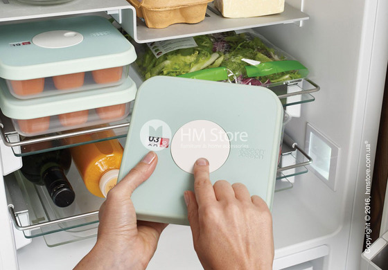 Набор контейнеров для хранения Joseph Joseph Dial Baby, 10 шт