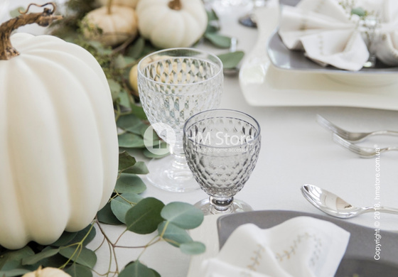 Бокал для воды Villeroy & Boch коллекция Boston 310 мл, Transparent