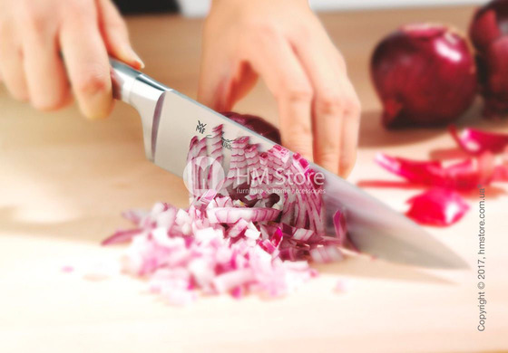 Набор из 5-ти ножей на подставке WMF коллекция Grand Gourmet, Steel