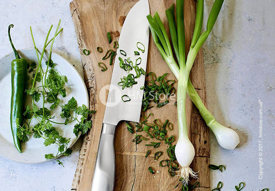 Набор из 4-х ножей на подставке WMF коллекция Grand Gourmet, Steel