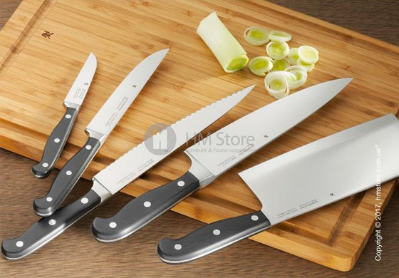 Набор из 5-ти ножей на подставке WMF коллекция Spitzenklasse Plus, Black