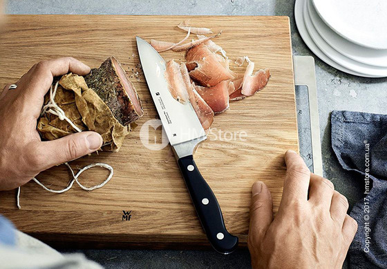 Набор из 5-ти ножей на подставке WMF коллекция Spitzenklasse Plus, Black