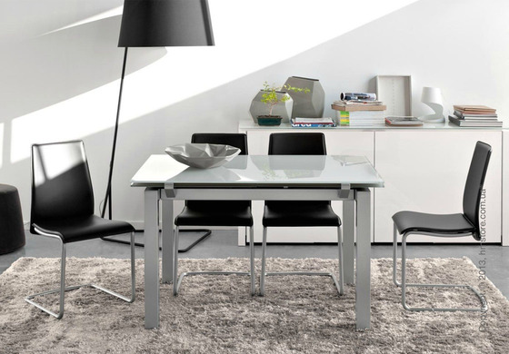 Стул Calligaris Swing