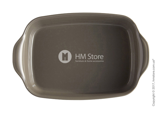 Форма для выпечки прямоугольная 22 х 14 см Emile Henry Ovenware, Silex