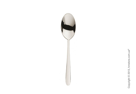 Набор столовых приборов Bugatti Rialto коллекция Shining на 6 персон, 24 предмета