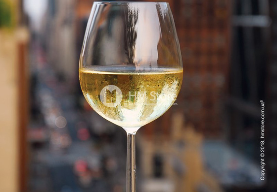 Набор бокалов для белого вина Schott Zwiesel Diva 302 мл на 6 персон