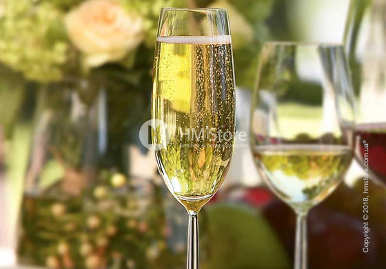 Набор бокалов для шампанского Schott Zwiesel Diva 219 мл на 6 персон