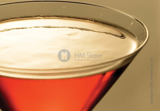 Набор бокалов для мартини Schott Zwiesel Diva 245 мл на 6 персон