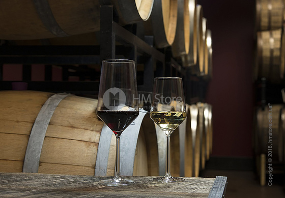 Набор бокалов для белого вина Sauvignon Blanc Schott Zwiesel Pure 408 мл на 6 персон