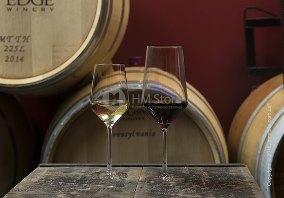 Набор бокалов для белого вина Sauvignon Blanc Schott Zwiesel Pure 408 мл на 6 персон