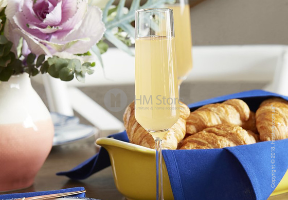 Набор бокалов для шампанского Schott Zwiesel Pure 215 мл на 6 персон