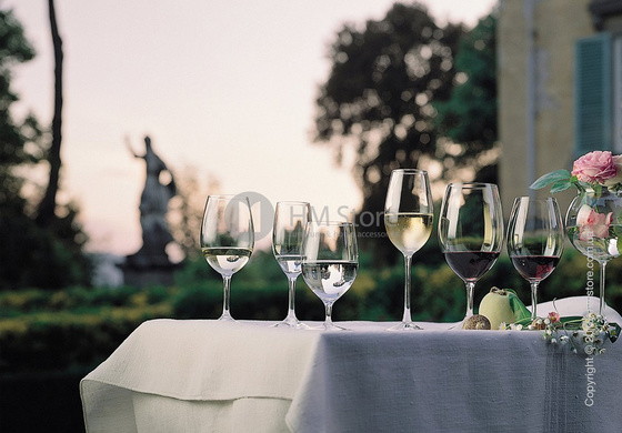 Набор бокалов для шампанского Riedel Ouverture 260 мл на 2 персоны