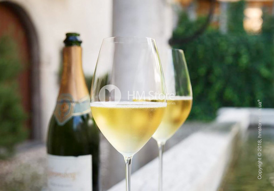 Набор бокалов шампанского Champagne Riedel Veritas 445 мл на 2 персоны